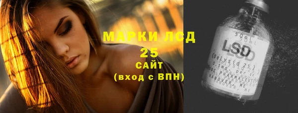 стафф Баксан