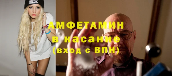 прущие грибы Балахна