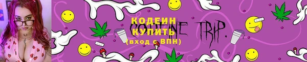 прущие грибы Балахна