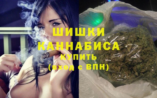 прущие грибы Балахна